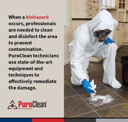 PuroClean Toronto East
