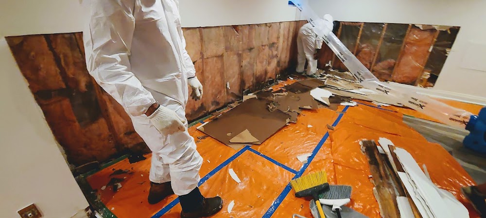 Ultimate Mold Crew - Mold Removal Toronto