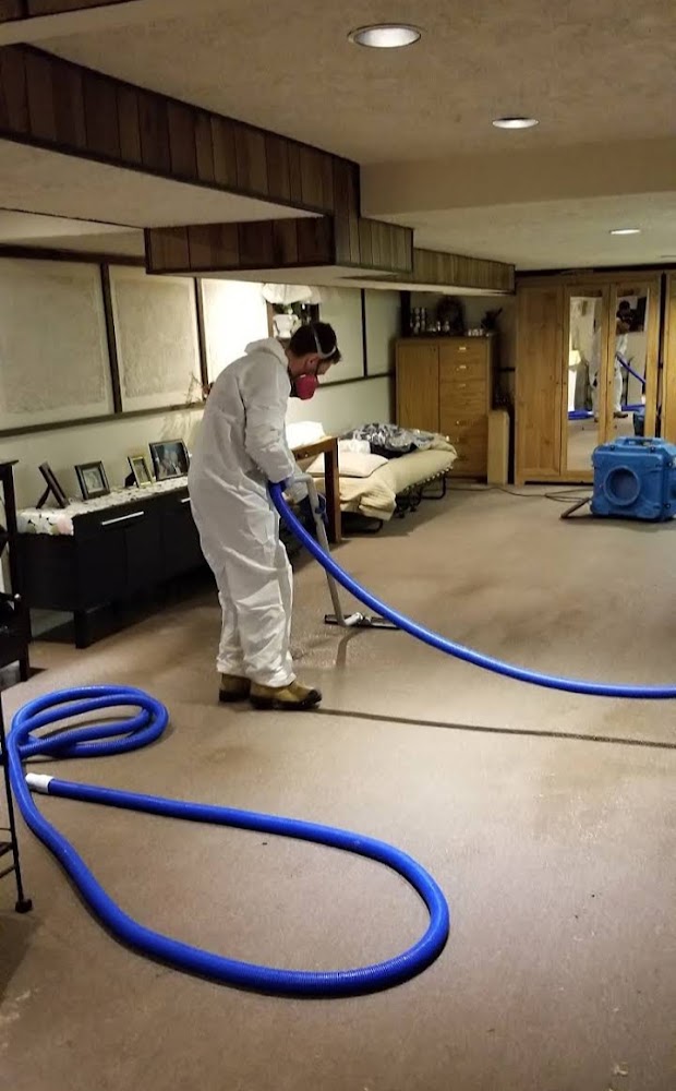 MOLD REMOVAL TORONTO LTD
