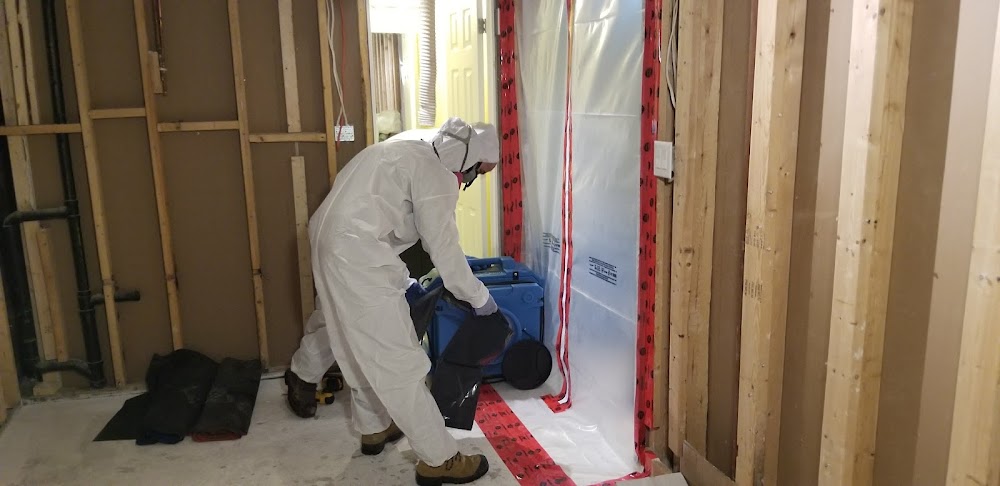 416 Restoration Water Damage Toronto Mold Removal