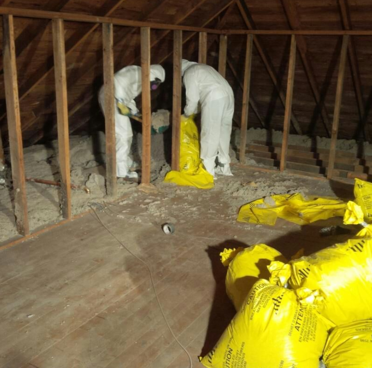 Canada's Restoration Services